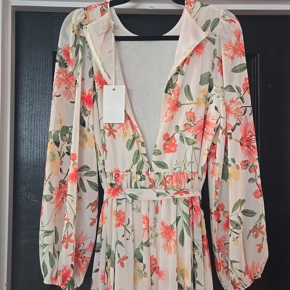 Yumi Kim Champagne & Strawberry Floral Blouson Sleeve Maxi Dress Size Medium - Picture 7 of 15